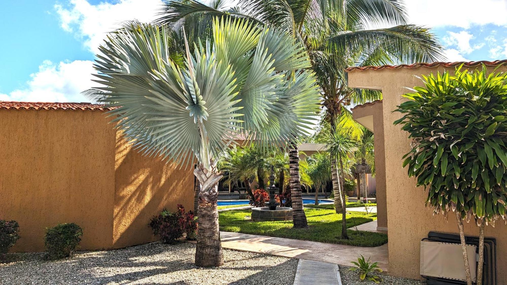 Myoli Wellness & Happiness Bnb Playa del Carmen Ngoại thất bức ảnh